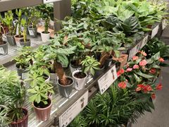 -鹿岛会员店(熙地港店)