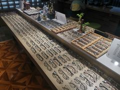 -A380视光·蔡司眼镜店(锦艺城店)