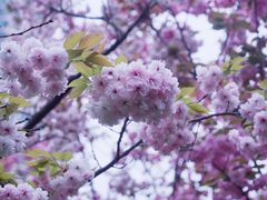 -苏州河梦清园环保主题公园