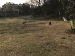 -环城公园-琥珀潭