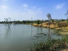 -绿堤公园