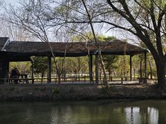 -溱湖国家湿地公园