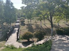 -四里河滨水生态公园
