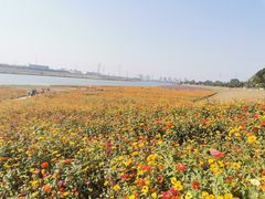 -佛山市三水温泉度假村