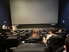 -SFC上影影城(北京大兴龙湖天街IMAX店)