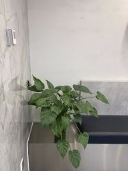 -工匠