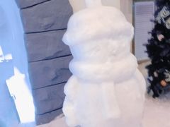 -世界之窗阿尔卑斯冰雪世界