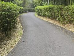 -天目湖涵田度假村