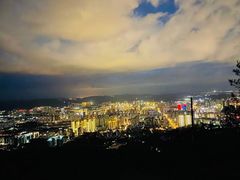 -长虫山生态公园风景林