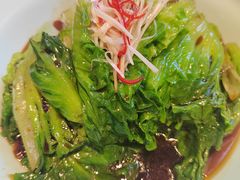 -峨嵋酒家 南北川菜 优选烤鸭(广渠路店)