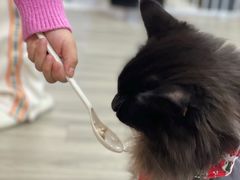 -猪盟咖啡店(玖洲道店)