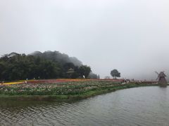 -广州市石门国家森林公园