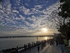 -宝安西湾红树林湿地公园