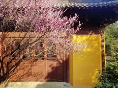 -慧因高丽寺