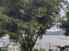 -大京沙滩