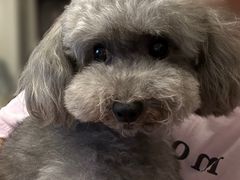 -MOLLY'S萌宠生活馆