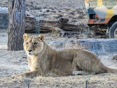 -北京野生动物园