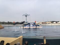 -秦皇岛乐岛海洋王国