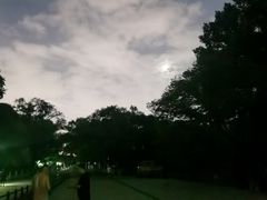 -北陵公园