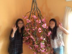 -金山农民画村-枫泾波兰倒置屋