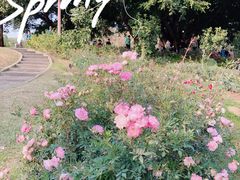 -人民公园(罗湖区)