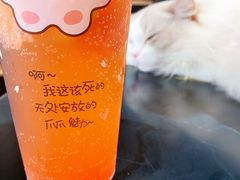 -瞄一喵猫咖(格力海岸店)