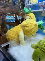 -万达宝贝王(三明店)