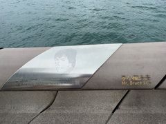 -星光大道