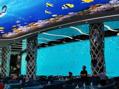 -瑞德姆美人鱼海底演艺主题餐厅(亚龙湾店)