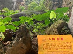 -英西峰林·洞天仙境