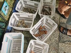 -范饭椰林川湘味海鲜·椰子鸡(三亚湾椰梦长廊店)