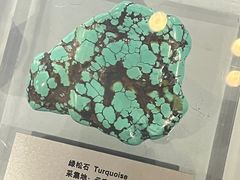 -云南省博物馆