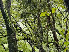 -宁波市保国寺古建筑博物馆
