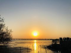 -宝安西湾红树林湿地公园