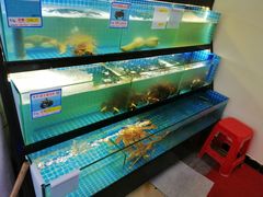 水产区-琼大师东方烤乳猪(亚特兰蒂斯店)