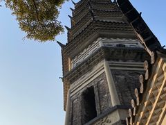 -苏州上方山国家森林公园