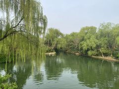 -济南大明湖景区