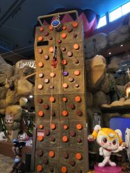 -卡通尼·Safari非洲探索乐园·生日会(金桥国际商业广场店)