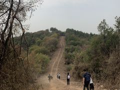-青龙山国家森林公园