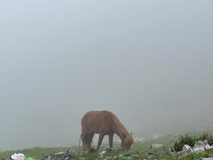 -折多山