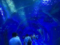 -波塞冬旅游度假区