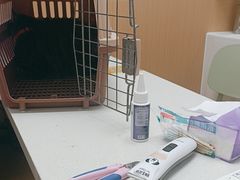 -瑞派康怡24h宠物医院·犬猫医疗中心·微创绝育(瑞景分院)