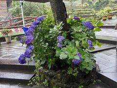 -藏龙百瀑风景区