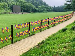 -武陵山森林公园