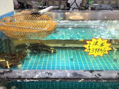 -侬佳蒸菜馆(听潮店)