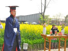 -田园东方蜜桃村的田野营地