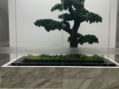 -柏乐口腔医院·舒适化无痛种植牙中心(东盟商务区院)
