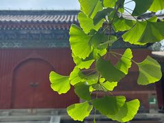 -承恩寺
