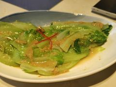 -点都德·毕德寮