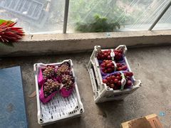 -马陆小张葡萄园农家乐